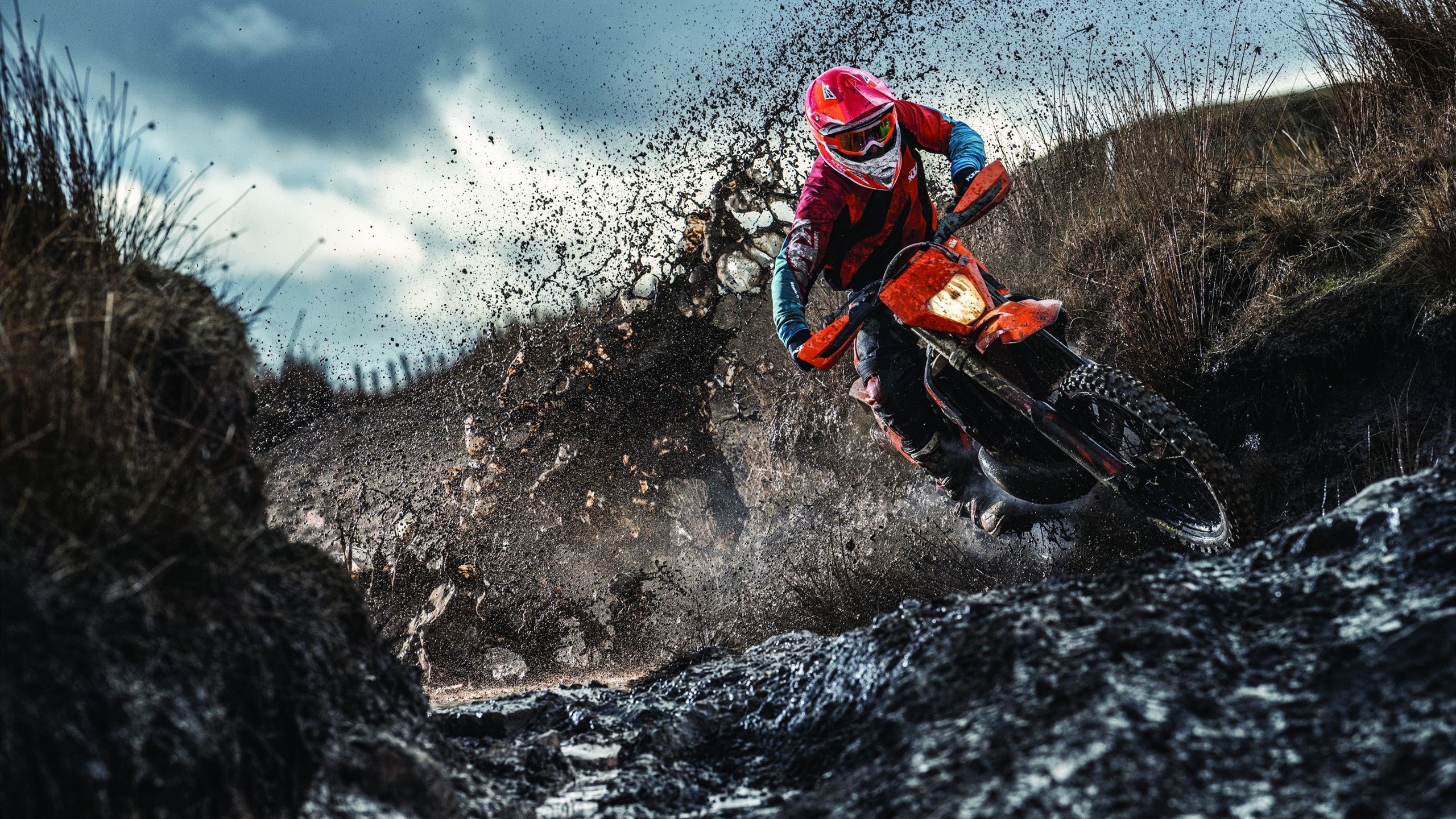 快乐篮球：运动带来的快乐与成就感，快乐篮球简介