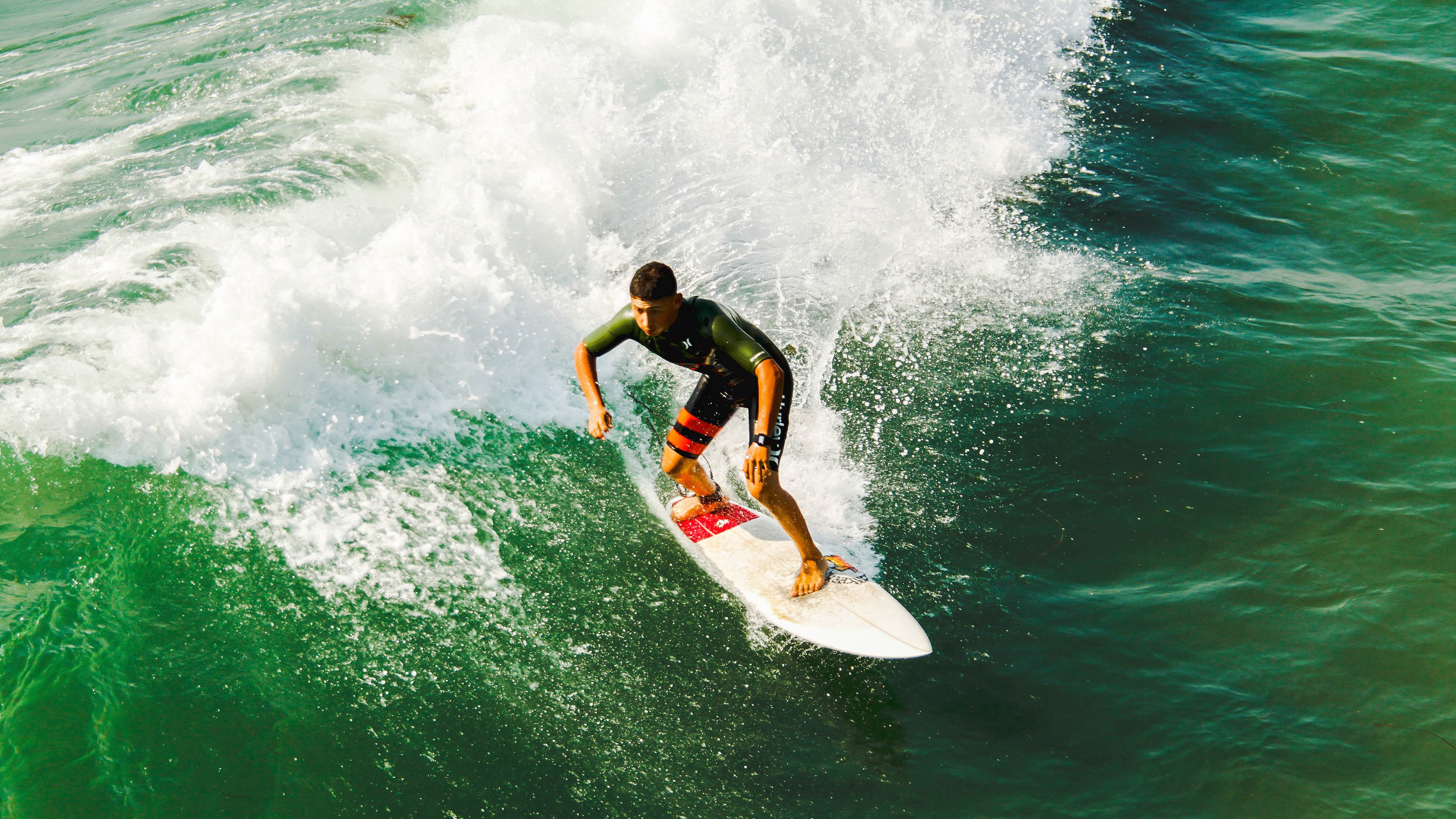 青年教练：新一代的战术大师培养大法，战术大师最强训练家青鸟
