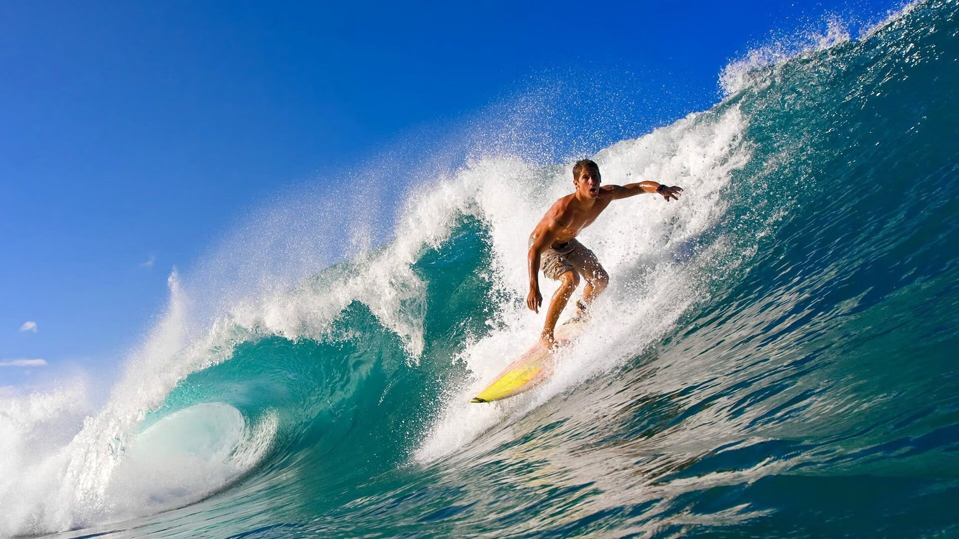 开云体育官方网站网址-体育高校科研成果助力国家队备战，高校体育产业